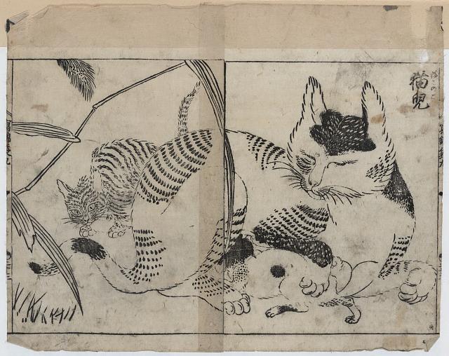 an 18th century cat image from Japan